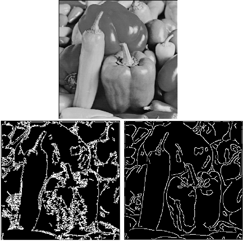شکل 2. نتایج تشخیص لبه بر روی تصویر فلفل‌ها